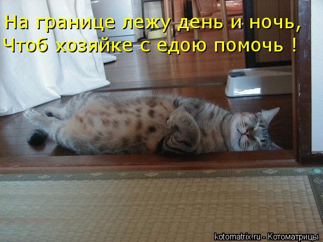 Котоматрица: На границе лежу день и ночь, Чтоб хозяйке с едою помочь !