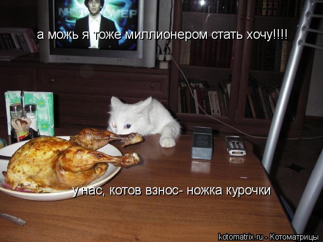 Котоматрица: у нас, котов взнос- ножка курочки а можь я тоже миллионером стать хочу!!!!