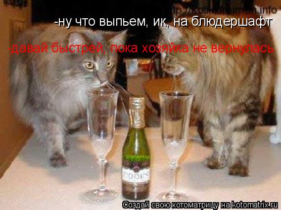 -ну что выпьем, ик, на блюдершафт -давай быстрей, пока хозяйка не вернулась... Котоматрица: -ну что выпьем, ик, на блюдершафт -давай быстрей, пока хозяйка не вернулась
