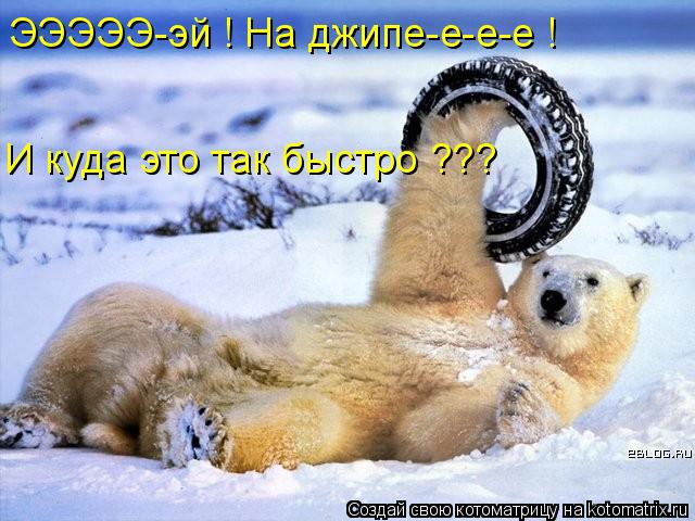 ЭЭЭЭЭ-эй ! На джипе-е-е-е ! И куда это так быстро ???... Котоматрица: ЭЭЭЭЭ-эй ! На джипе-е-е-е ! И куда это так быстро ???