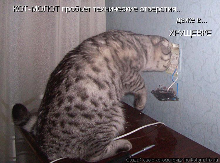 Котоматрица: КОТ-МОЛОТ пробьёт технические отверстия... даже в... ХРУЩЕВКЕ