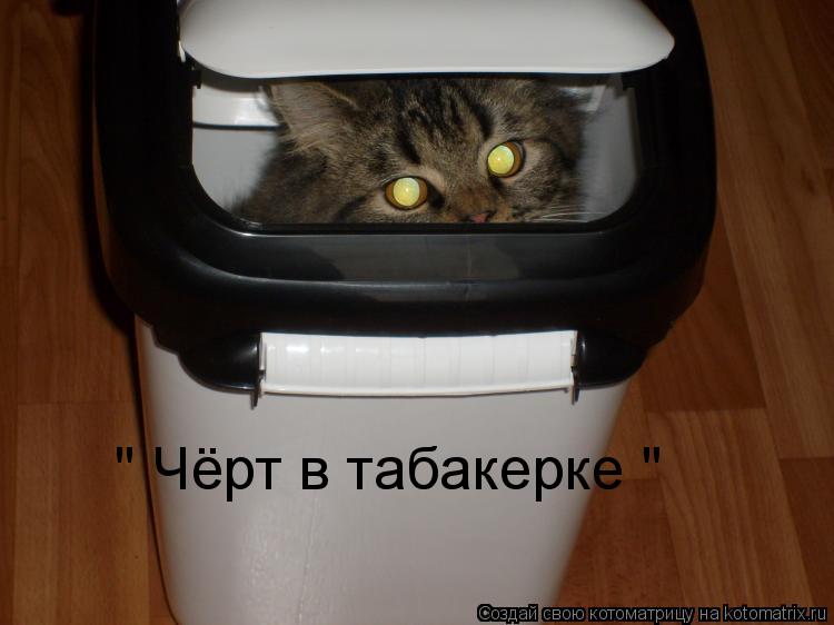 " Чёрт в табакерке "... Котоматрица: " Чёрт в табакерке "