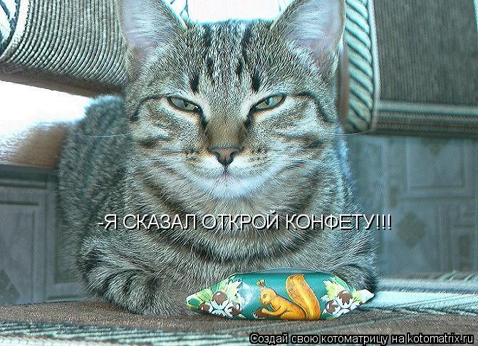 -Я СКАЗАЛ ОТКРОЙ КОНФЕТУ!!!... Котоматрица: -Я СКАЗАЛ ОТКРОЙ КОНФЕТУ!!!