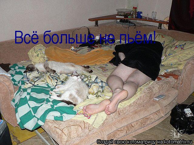 Всё больше не пьём!... Котоматрица: Всё больше не пьём!