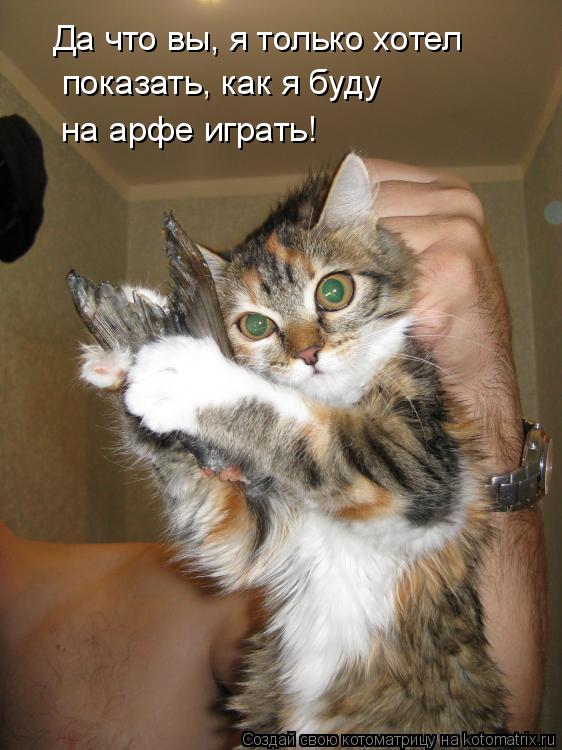 Котоматрица: Да что вы, я только хотел показать, как я буду  на арфе играть!