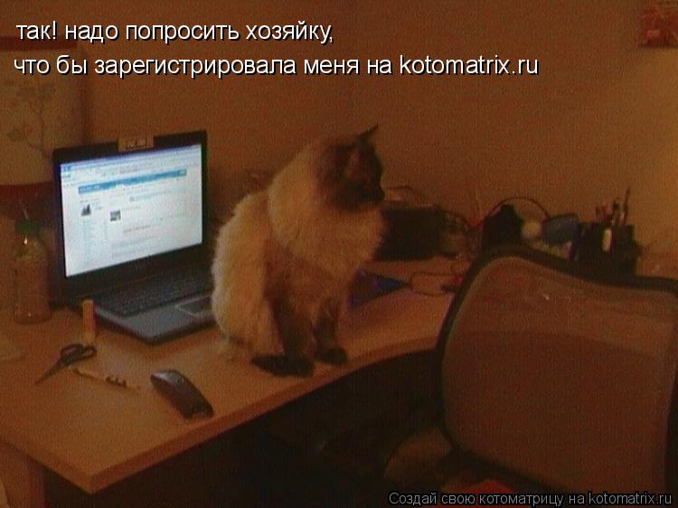 так! надо попросить хозяйку, что бы зарегистрировала меня на kotomatrix.ru... Котоматрица: так! надо попросить хозяйку, что бы зарегистрировала меня на kotomatrix.ru