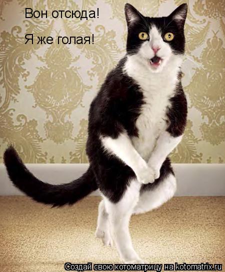 Вон отсюда! Я же голая!... Котоматрица: Вон отсюда! Я же голая!