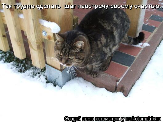Так трудно сделать шаг навстречу своему счастью...... Котоматрица: Так трудно сделать шаг навстречу своему счастью...