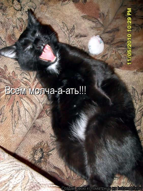 Всем молча-а-ать!!!... Котоматрица: Всем молча-а-ать!!!