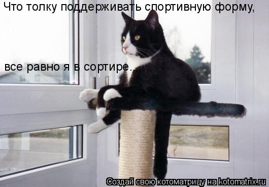 Что толку поддерживать спортивную форму, все равно я в сортире...... Котоматрица: Что толку поддерживать спортивную форму, все равно я в сортире...