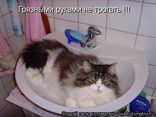 Грязными руками не трогать !!!... Котоматрица: Грязными руками не трогать !!!