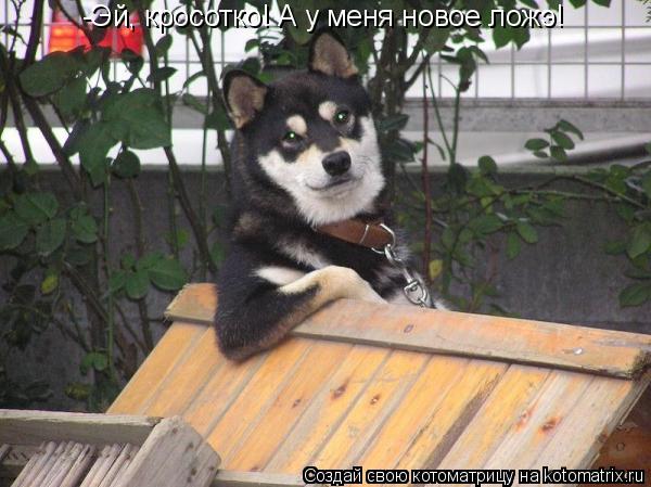 -Эй, кросотко! А у меня новое ложэ!... Котоматрица: -Эй, кросотко! А у меня новое ложэ!