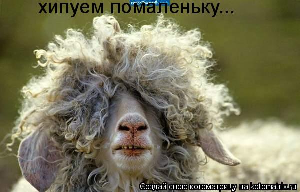 хипуем помаленьку...... Котоматрица: хипуем помаленьку...