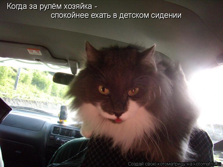 Когда за рулём хозяйка - спокойнее ехать в детском сидении... Котоматрица: Когда за рулём хозяйка - спокойнее ехать в детском сидении