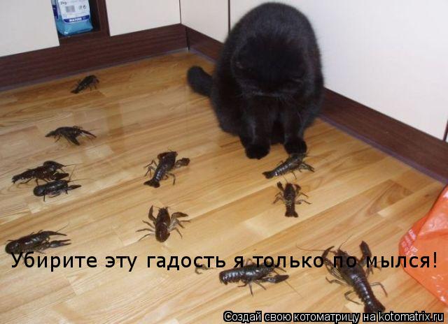 Убирите эту гадость я только по мылся!... Котоматрица: Убирите эту гадость я только по мылся!