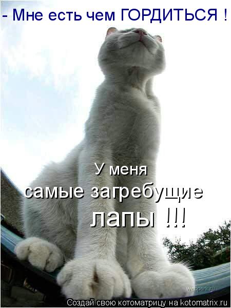 - Мне есть чем ГОРДИТЬСЯ ! У меня самые загребущие лапы !!!... Котоматрица: - Мне есть чем ГОРДИТЬСЯ ! У меня самые загребущие лапы !!!