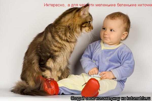 Интересно, а для чего эти меленькие беленькие ниточки..... Котоматрица: Интересно, а для чего эти меленькие беленькие ниточки..