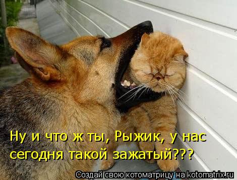 Ну и что ж ты, Рыжик, у нас сегодня такой зажатый???