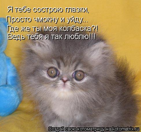 Я тебе сострою глазки, Просто чмокну и уйду... Где же ты моя колбаска?! Ведь тебя я так люблю!!!... Котоматрица: Я тебе сострою глазки, Просто чмокну и уйду... Где же ты моя колбаска?! Ведь тебя я так люблю!!!