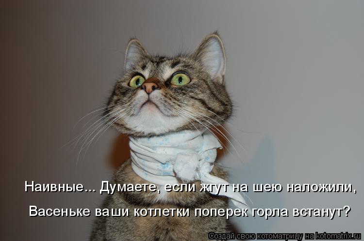 Наивные... Думаете, если жгут на шею наложили, Васеньке ваши котлетки поперек горла встанут?... Котоматрица: Наивные... Думаете, если жгут на шею наложили, Васеньке ваши котлетки поперек горла встанут?