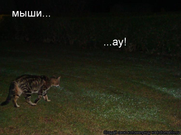 мыши... ...ау!... Котоматрица: мыши... ...ау!