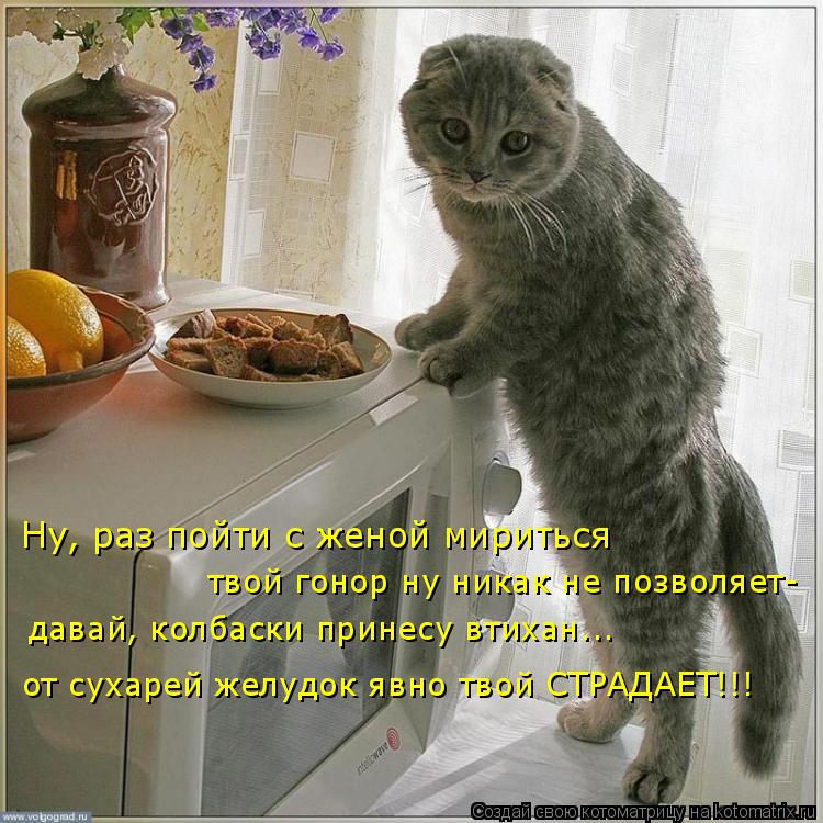 Ну, раз пойти с женой мириться твой гонор ну никак не позволяет- давай, колбаски принесу втихан... о... Котоматрица: Ну, раз пойти с женой мириться твой гонор ну никак не позволяет- давай, колбаски принесу втихан... от сухарей желудок явно твой СТРАДАЕТ!!!