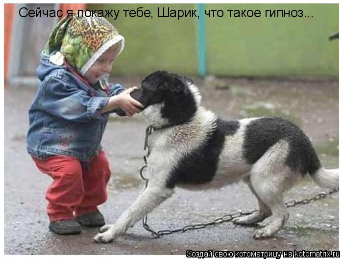 Сейчас я покажу тебе, Шарик, что такое гипноз...... Котоматрица: Сейчас я покажу тебе, Шарик, что такое гипноз...