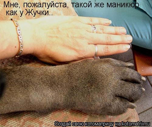 Мне, пожалуйста, такой же маникюр как у Жучки..... Котоматрица: Мне, пожалуйста, такой же маникюр как у Жучки..
