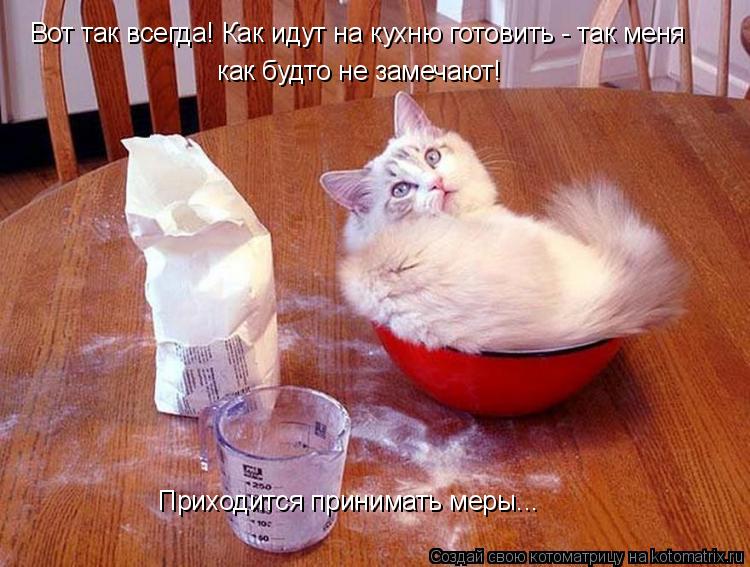 Вот так всегда! Как идут на кухню готовить - так меня как будто не замечают! Приходится принимать мер... Котоматрица: Вот так всегда! Как идут на кухню готовить - так меня как будто не замечают! Приходится принимать меры...