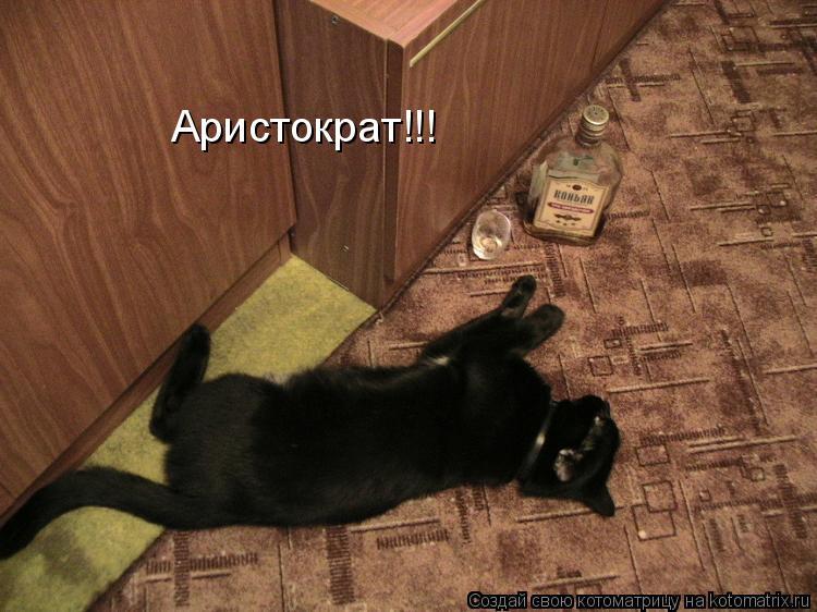 Аристократ!!!... Котоматрица: Аристократ!!!