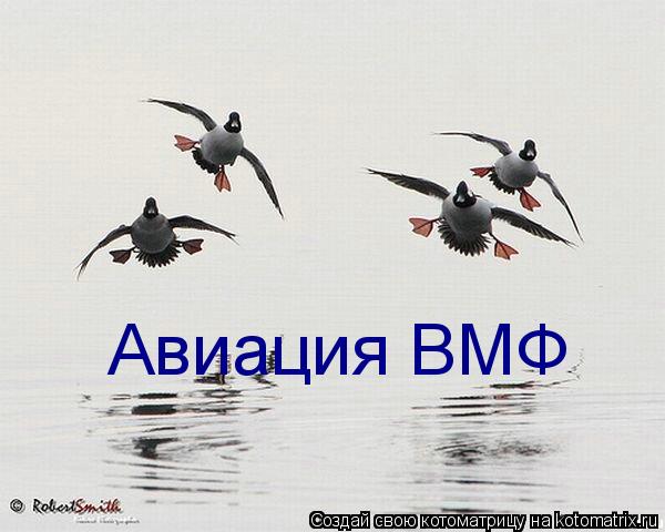 Авиация ВМФ... Котоматрица: Авиация ВМФ