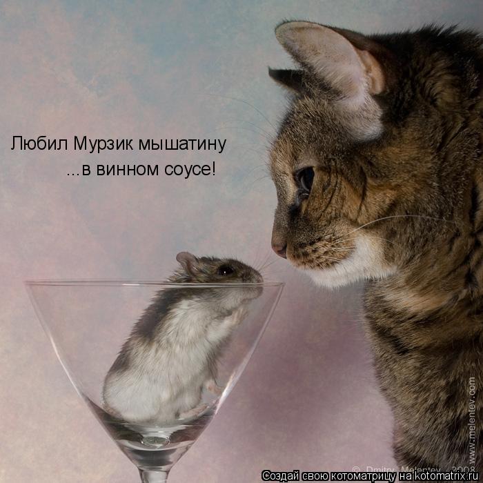 Любил Мурзик мышатину ...в винном соусе!... Котоматрица: Любил Мурзик мышатину ...в винном соусе!