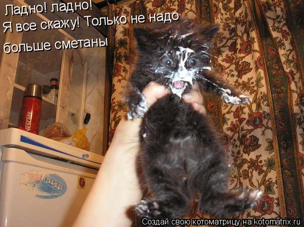 больше сметаны Я все скажу! Только не надо Ладно! ладно!... Котоматрица: больше сметаны Я все скажу! Только не надо Ладно! ладно!