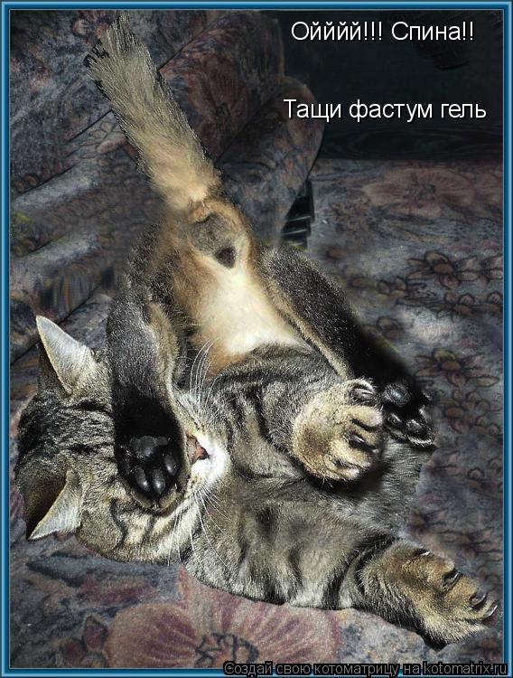 Ойййй!!! Спина!! Тащи фастум гель... Котоматрица: Ойййй!!! Спина!! Тащи фастум гель