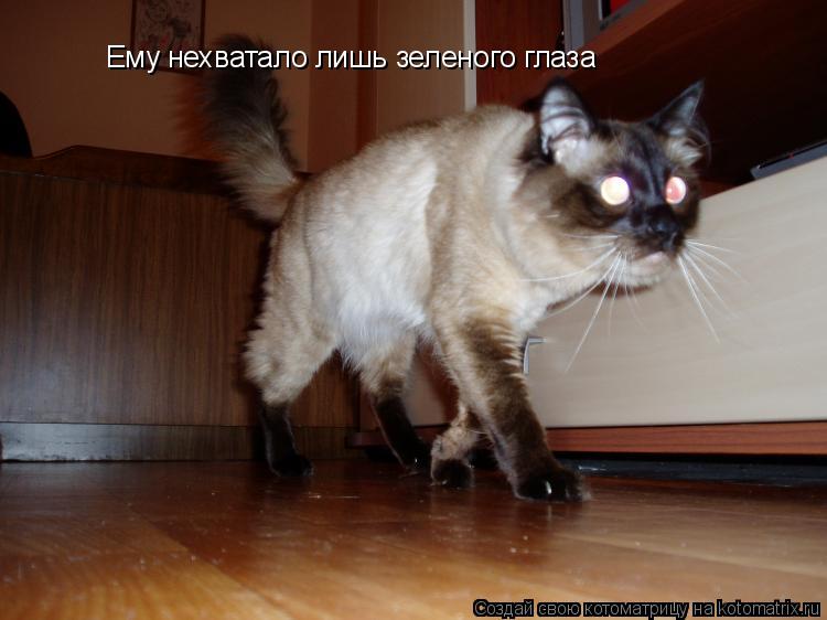 Ему нехватало лишь зеленого глаза... Котоматрица: Ему нехватало лишь зеленого глаза