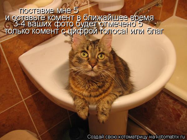 поставие мне 5 и оставьте комент в ближайшее время 3-4 ваших фото будет отмечено 5 только комент с ... Котоматрица: поставие мне 5 и оставьте комент в ближайшее время 3-4 ваших фото будет отмечено 5 только комент с цифрой голоса! или благ