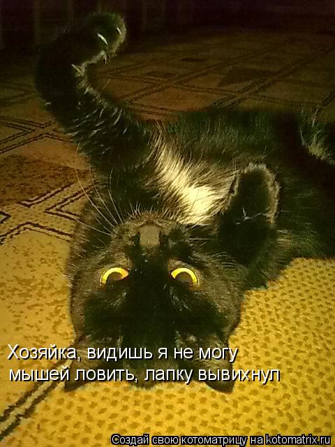 Хозяйка, видишь я не могу мышей ловить, лапку вывихнул... Котоматрица: Хозяйка, видишь я не могу мышей ловить, лапку вывихнул