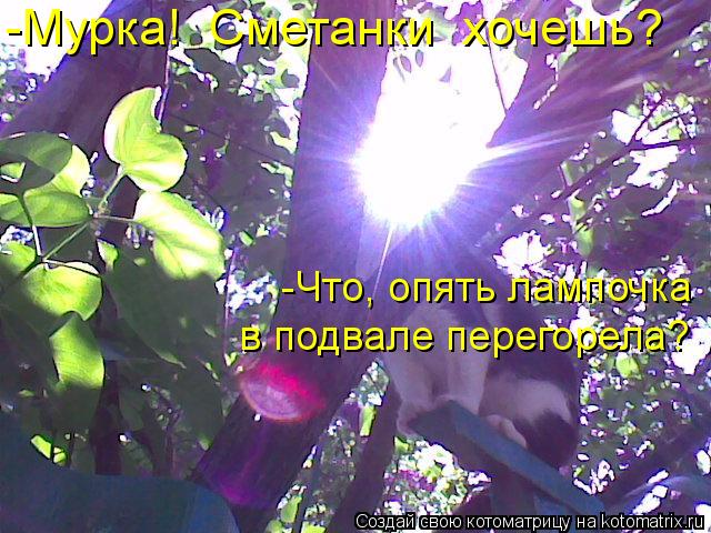 Котоматрица: -Мурка!  Сметанки  хочешь?                      -Что, опять лампочка                   в подвале перегорела?