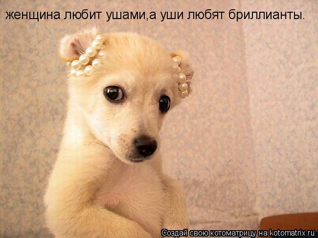 женщина любит ушами,а уши любят бриллианты.... Котоматрица: женщина любит ушами,а уши любят бриллианты.