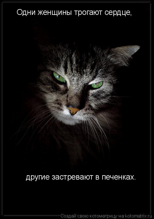 Одни женщины трогают сердце, другие застревают в печенках.... Котоматрица: Одни женщины трогают сердце, другие застревают в печенках.
