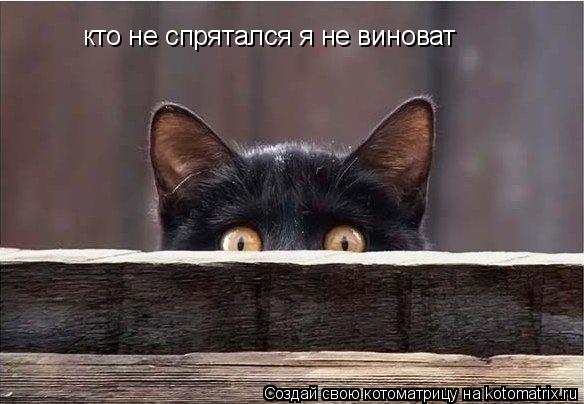 кто не спрятался я не виноват... Котоматрица: кто не спрятался я не виноват