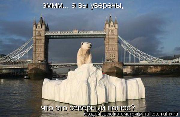 эммм... а вы уверены, что это северный полюс?... Котоматрица: эммм... а вы уверены, что это северный полюс?