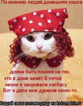 По мнению людей,домашняя кошка дожна быть похожа на тех, кто в доме живёт.В пятой жизни я своровала к... Котоматрица: По мнению людей,домашняя кошка дожна быть похожа на тех, кто в доме живёт.В пятой жизни я своровала колбасу. Вот и дали мне дураков каких-то...