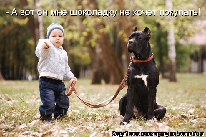 - А вот он мне шоколадку не хочет покупать!... Котоматрица: - А вот он мне шоколадку не хочет покупать!