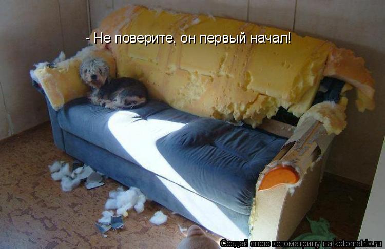 - Не поверите, он первый начал!... Котоматрица: - Не поверите, он первый начал!
