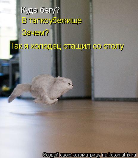 Куда бегу? В тапкоубежище Зачем? Так я холодец стащил со столу... Котоматрица: Куда бегу? В тапкоубежище Зачем? Так я холодец стащил со столу