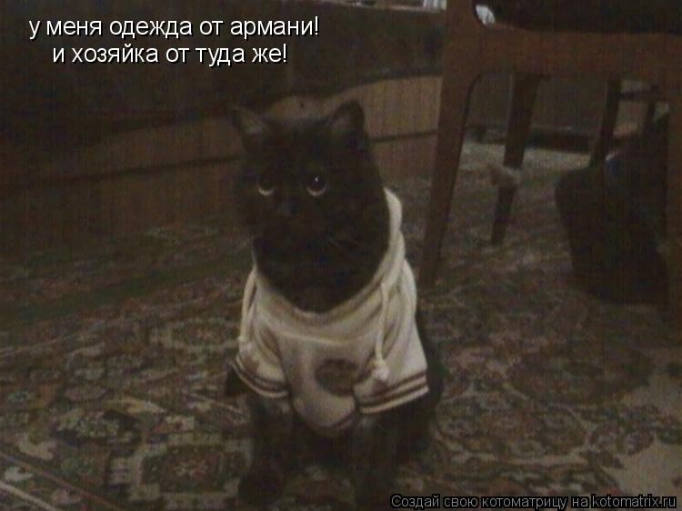 у меня одежда от армани! и хозяйка от туда же!... Котоматрица: у меня одежда от армани! и хозяйка от туда же!