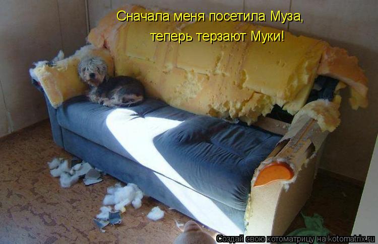 Сначала меня посетила Муза, теперь терзают Муки!... Котоматрица: Сначала меня посетила Муза, теперь терзают Муки!