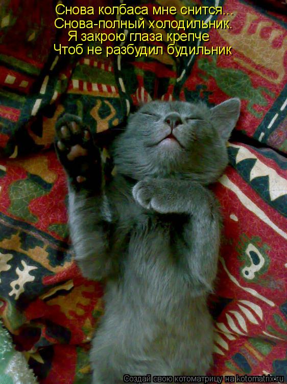 Снова колбаса мне снится... Снова-полный холодильник. Я закрою глаза крепче Чтоб не разбудил будильни... Котоматрица: Снова колбаса мне снится... Снова-полный холодильник. Я закрою глаза крепче Чтоб не разбудил будильник