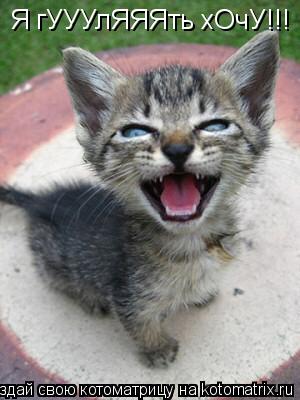 Я гУУУлЯЯЯть хОчУ!!!... Котоматрица: Я гУУУлЯЯЯть хОчУ!!!